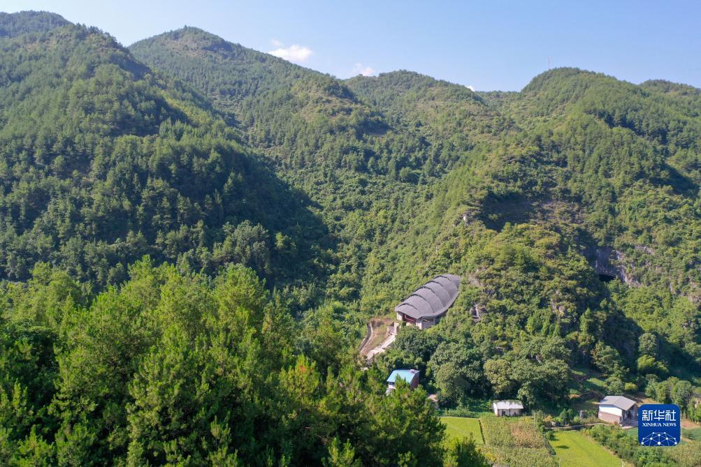 大满贯电子